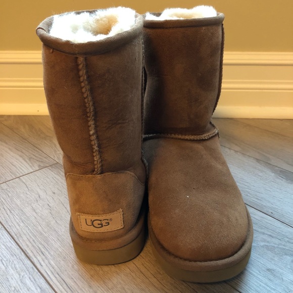 UGG Shoes - UGG Classic Chestnut Boots